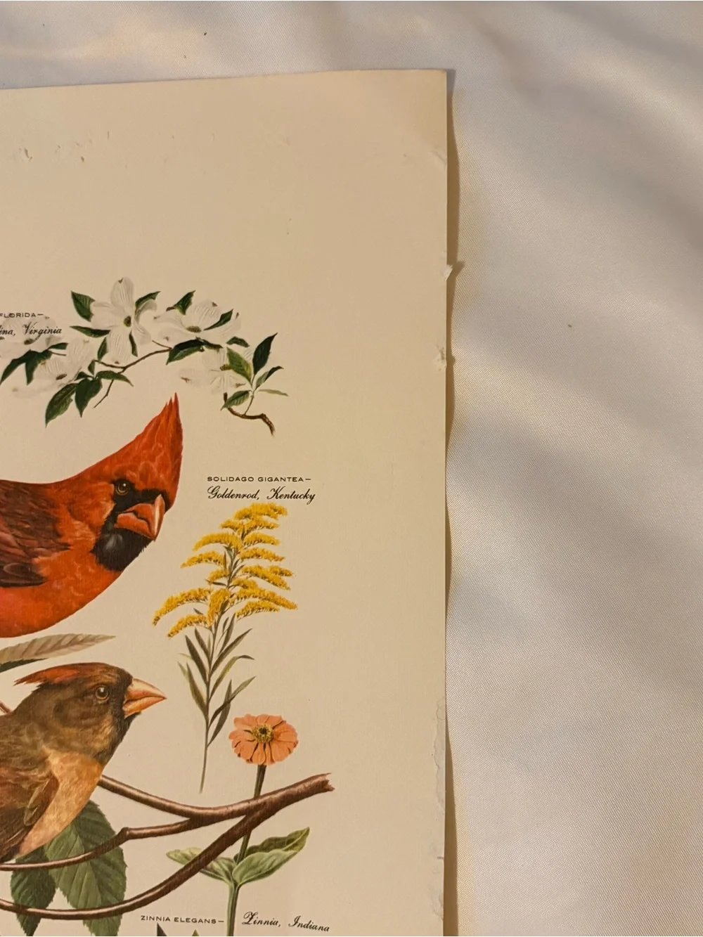 Arthur Singer - Vintage 